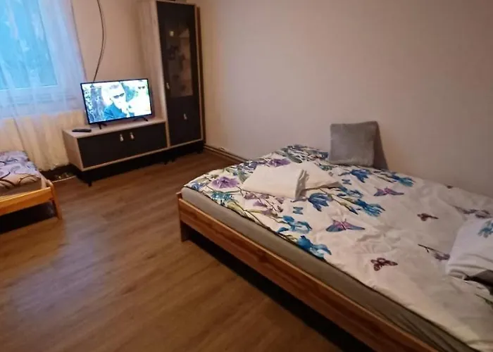 Gorskie Zacisze 7 Borowice