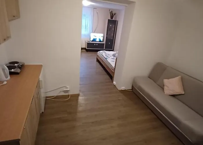 Bed & Breakfast Gorskie Zacisze 7 *